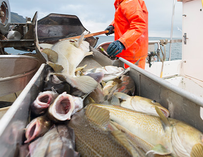 حوض سمك معزول