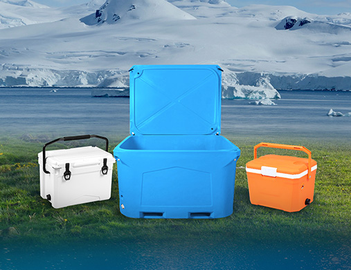 شركة نينغبو نيلجرين للمنتجات الخارجية المحدودة.