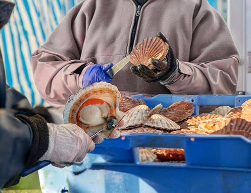 شركة نينغبو نيلجرين للمنتجات الخارجية المحدودة.