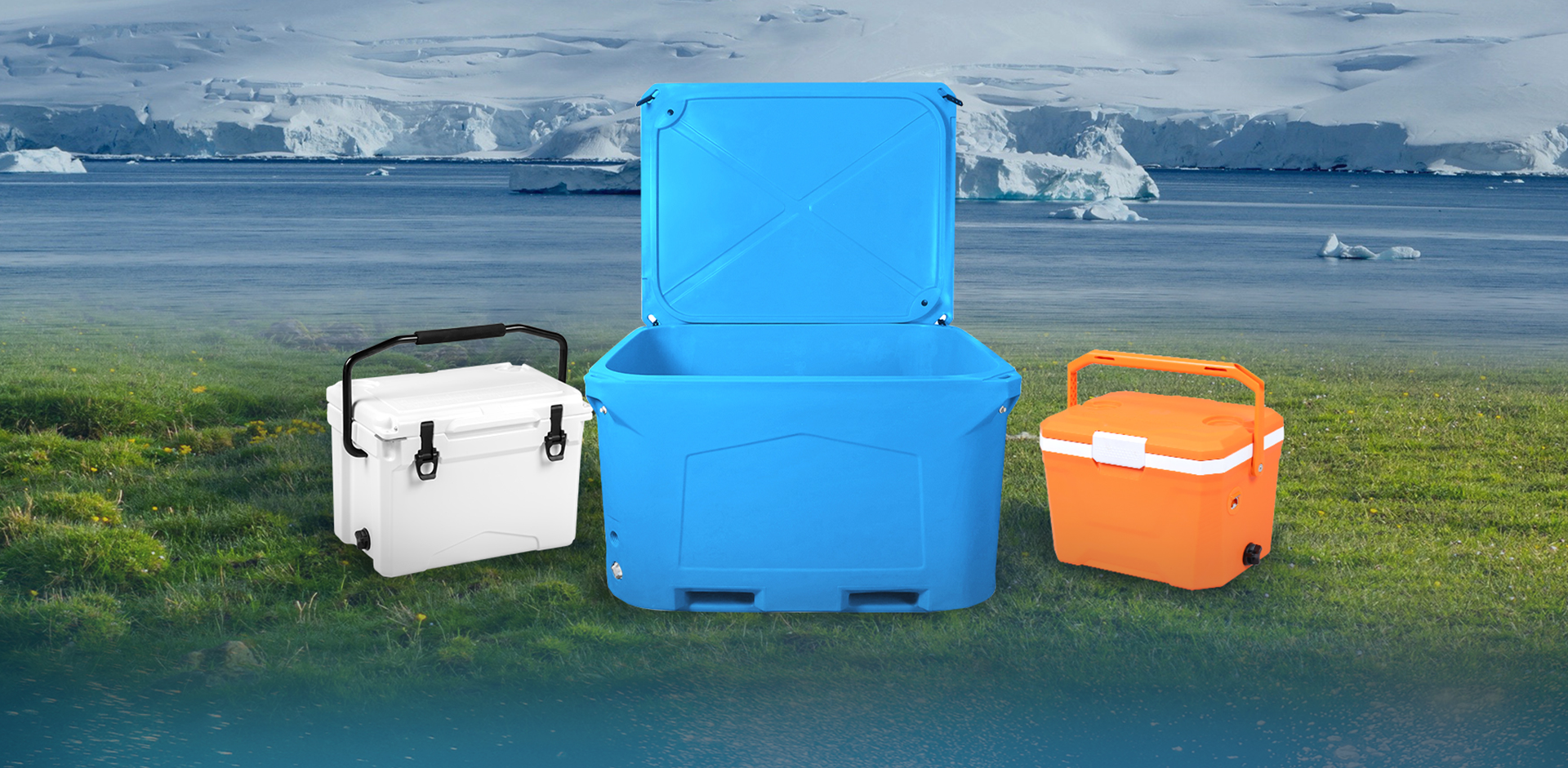 شركة نينغبو نيلجرين للمنتجات الخارجية المحدودة.